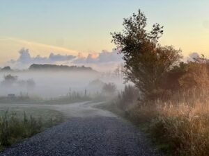 natur og sorg, sorg og krise, Naturen kan lindre og give energi, den kan være med til at skabe en ny forbindelse til det barn vi har mistet. Nogle forældre, ser tegn på himmelen ved en funklende stjerne, en sommerfugl, der kommer der helt tæt på og så på den her tid af året. Vinden i ansigtet, et fast tempo giver plads til tanker, forbundethed på den ene og den anden måde. Tab Savn, sorg, forældre i sorg.